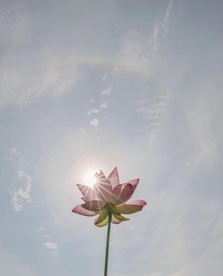 Khach San Flower Sky Nha Trang Dış mekan fotoğraf